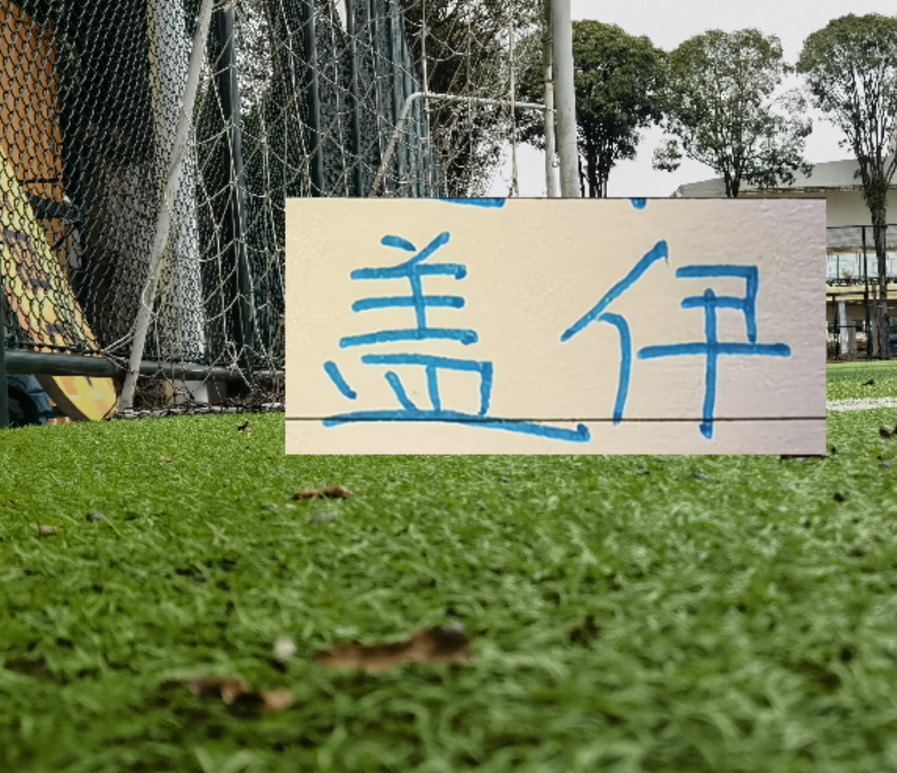 开云网站-申花1米95非洲前锋已回基地